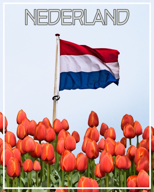 Cijferlijst Middelbare Scholieren Een Gids voor Succes 390119613