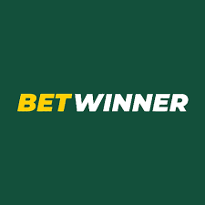 A Comprehensive Guide to BetWinner Online Platform