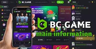 Exploring BC.Game Mirror Sites for Seamless Gaming Experience