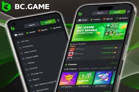 Understanding BC.Game General Terms and Conditions 592951082