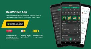 Comprehensive Guide to BetWinner Withdrawal Options -856083136 Comprehensive Guide to BetWinner Withdrawal Options -856083136