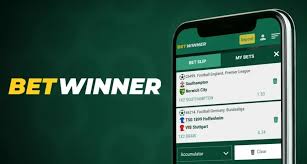 Comprehensive Review of BetWinner Casino and Sportsbook -835330308