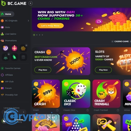 Exceptional Customer Support at BC.Game Your Gaming Companion