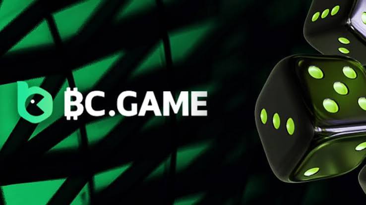 Experience Gaming Anytime with the BC.Game Mirror Mobile App